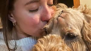 Fundraiser by Grant Spear : Murray's Cancer Treatment