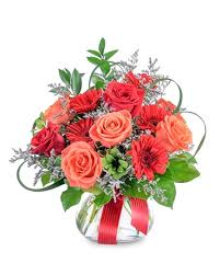 Check spelling or type a new query. Scarlet Fire In Alexandria La House Of Flowers