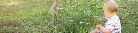 Unkraut Vernichten Ohne Chemie Garten Und Freizeit