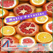 mutlu pazarlar https www anasehirkoleji com ozelokul ozelders geometri matematik yks2019 konuanlat ders matematik mutlu okul