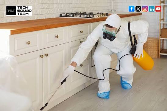 Pest Inspection