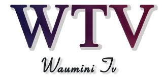 Liczby pokazujące pieniądze, jakie trafiają do kieszeni posłów, ministrów, premiera i senatorów robią wrażenie. Waumini Tv Wtv On Windows Pc Download Free 1 0 Com Wtv Ffijwuqmkepgymiebfaw