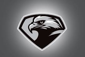 Black And White Eagle Logo Eagle Head Logo Design Inspiration Art Logo Illustration Design Art Logo