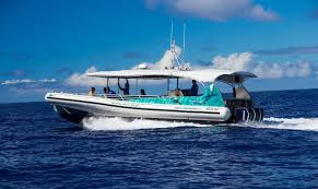 It's a quick segment on myself and blackwater diving. Armstrong Marine Tour Rhib Begins Sailing With New Owners In Hawaii Baird Maritime