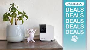 Emonneeyy leak her rules include a set of rules that are