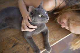 So sorry to read your news. When Lymph Nodes Are Enlarged Tufts Catnip