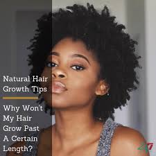 Then this is the oil that you would want to try. Natural Hair Growth Tips Why Won T My Hair Grow Past A Certain Length 247 Live Culture Magazine