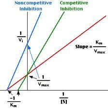 Enzyme Kinetics Google Sogning Enzyme Kinetics Biology Lessons Biochemistry