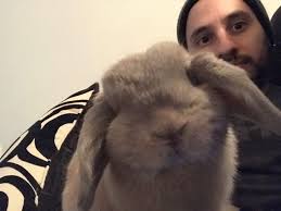 My girl started to sneeze today BUT still looks like shes happy