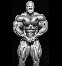 Phil Heath Back Heath Phil Heide Zuruck Phil Heath Retour Phil Heath Bac Phil Heath Phil Heath Bodybuilding Mr Olympia Bodybuilding