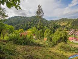 Maybe you would like to learn more about one of these? Schei Terenuri In Brasov Mitula Apartamente