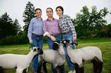 Livestock Fair at Historic Wagner Farm