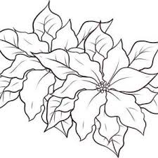 Poinsettia Day Letter P Is For Poinsettia For Poinsettia Day Coloring Page Blooming Poinsettia Flower Coloring Pages Coloring Pages Christmas Coloring Pages