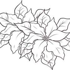 Poinsettia coloring page for kids. Poinsettia Day Letter P Is For Poinsettia For Poinsettia Day Coloring Page Blooming Poinsettia Coloring Pages Flower Coloring Pages Christmas Coloring Pages
