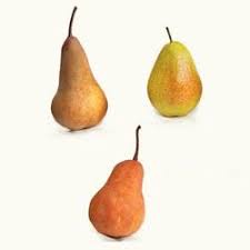 Multi fruit tree for sale. Multi Fruit Plants For Sale Fastgrowingtrees Com