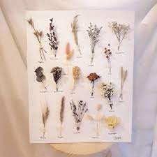 318 likes · 4 talking about this. Dried Flower On Big Canvas Bunga Kering Bunga Canvas Dekorasi Shopee Indonesia