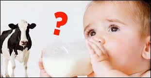 1 the incidence in breastfed infants is 0.4% to 0.5% according to 2 trials (level i evidence), 2, 3 but might be as high as 2.1% (level ii evidence). Cow Milk For Babies When And How To Introduce It To Them