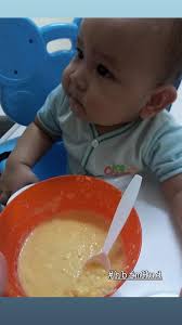 Yalah kan, dia baru saja nak mula makan jadi ibu jangan cepat putus asa untuk buat benda yang sama setiap hari dalam umurnya enam bulan ini. Resepi Biskut Nestum Untuk Bayi Pawtaste Com