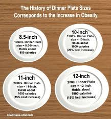 The Average Plate Size Body Refined