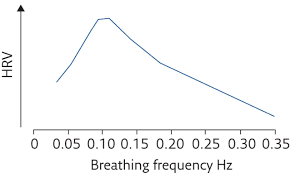 The Physiological Effects Of Slow Breathing In The Healthy