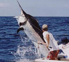 Offshore Fishing In Panama Oh Yes It Will Happen Some Day Marlin Fishing Sea Fishing Salt Water Fishing