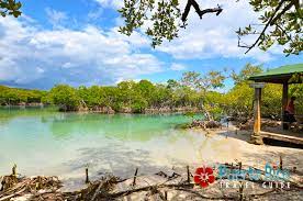 It is popular with locals for swimming, snorkeling, bea. Giligan S Island Puerto Rico Guanica Guilligan Guide 2021 Ferry Tours Photos