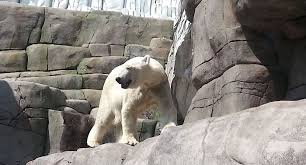 Tierpark Hagenbeck Gutschein 2 Fur 1 Coupon Gutscheincode Rabatt Tierpark Hagenbeck Tierpark Freizeitpark