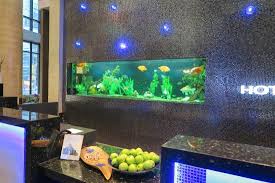What kind of fish do you have? Front Desk Area With Fish Tank And Apples Picture Of Hotel Blu Vancouver Tripadvisor