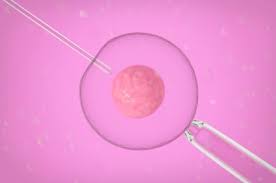 Pin On Ttc Trying To Conceive
