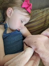 Plantain poultice for bug bites and wounds