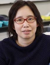 Publicly Offered Research