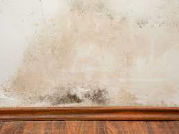 Betrachten sie den pilz an der wand als hygienisches problem und beseitigen sie ihn frühzeitig, bevor sie durch schimmel krank werden. Bautrocknung Feuchte Wande Trockenlegen Bauen De