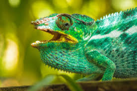 Navigation what is the best way to save a toxic marriage can this marriage be saved? What You Must Know Before You Try To Start Saving A Toxic Marriage