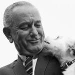 Sally Warner, The Conversation