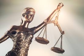 Image result for Justicia nuttii