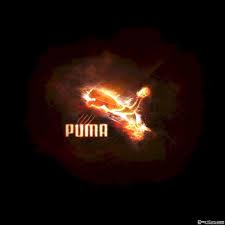 We've gathered more than 5 million images uploaded by our users and sorted them by the most popular ones. Puma Shoes Wallpapers Wallpaper Cave
