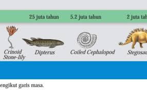 Bahagian buku teks kementerian pelajaran sm kolej.pdf · geografi tingkatan 2 sejarah tingkatan 2 pendidikan sivik dan kewarganegaraan tingkatan 2 pendidikan islam tingkatan 2 sains. Sejarah Tingkatan 1 Kssm Bab 2 Zaman Air Batu Bahagian 2 Cute766