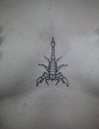 Scorpion Chest Tattoo Scorpion Tattoo Insect Tattoo Scorpio Tattoo