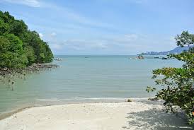 Penang national park or taman negara penang (malay) may be malaysia's smallest national park at only 23 sq km! Penang National Park In Penang Discover Unusual Malaysia