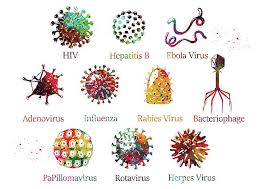 Diagram Showing Different Kinds Of Viruses By Erzebet S Biology Art Digital Art Medical Art The functionality of virus remains same but its signature is changed. pinterest