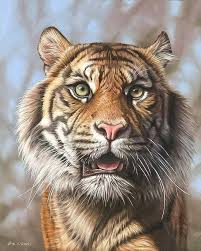 Pin By Gaurishankar Khot On Tigers In 2020 Tiger Painting Tiger Artwork Tiger Art