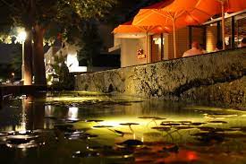 Immediately after being seated we were informed the kitchen closes in 20 minutes, it was 9:00pm. R D Kitchen Restaurant Zingmyorder