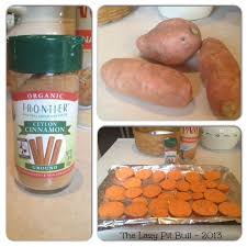 Baked Sweet Potato Chips For Dogs Recipe Sweet Potato Chips Sweet Potato Chips Baked Baking Sweet