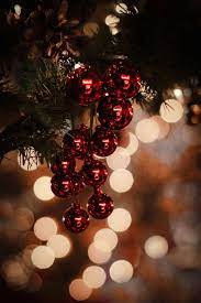 Macro Photography Of Red Christmas Baubles Photo Free Ornament Image On Unsplash Christmas Wallpaper Christmas Phone Wallpaper Wallpaper Iphone Christmas