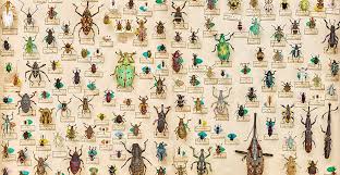 images?q=tbn:ANd9GcQUnPmrUNm0MKn2Q3Ie2O5