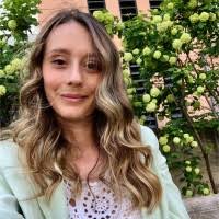 600+ "Albasini" profiles