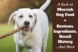 Is Merrick A Good Dog Food See Our Honest Merrick Dog Food