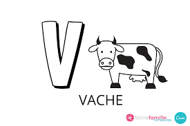 v comme vache pour apprendre et memoriser la lettre en majuscule voici un coloriage avec a colorier cote u alphabet francais patte patrouille skye everest