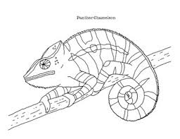 Use your creativity to … Panther Chameleon Coloring Page By Mama Draw It Tpt