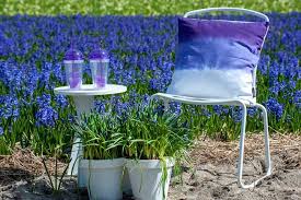From birthdays to holidays, a blue flower delivery is sure to be memorable. Top 8 Des Fleurs De Couleur Bleue Au Jardin
